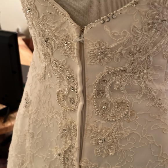 Casablanca bridal. Gorgeous beading - Picture 9 of 12